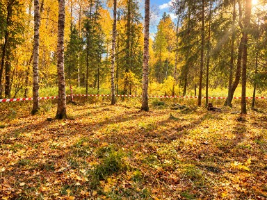 Продается участок, 12 сот.