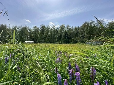 Продается участок, 12 сот.