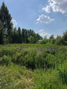 Московская область, Раменский муниципальный округ, Кратово пгт, Кратово коттеджный поселок, ул. Гвардейская