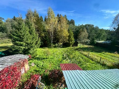 Московская область, Одинцовский городской округ, Анашкино поселок, Жимолость СНТ, 1