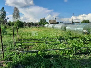 Алтайский край, Барнаул городской округ, Росинка 1 СНТ, ул. 6-я