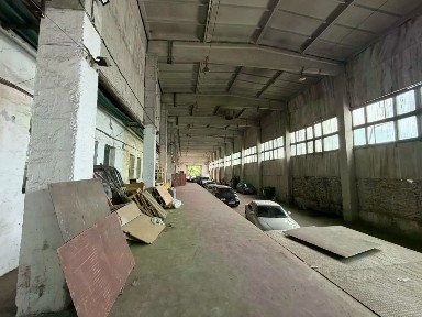 Новосибирская область, Новосибирск, р-н Центральный, ул. Семьи Шамшиных, 99