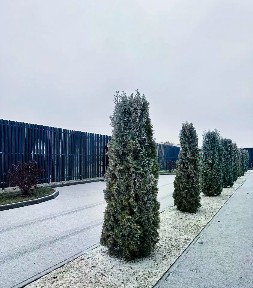Сдается 2-этажный дом, 90 м²