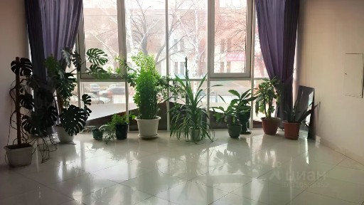 Сдается офис, 50 м²