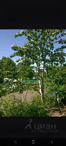 Продается участок, 10 сот.