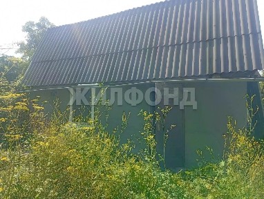 Новосибирская область, Искитим, Зеленый Бор садовое товарищество