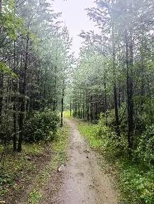 Продается участок, 10,32 сот.