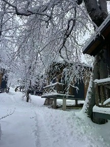 Продается готовый бизнес ⋅ свободное назначение, 10 000 м²