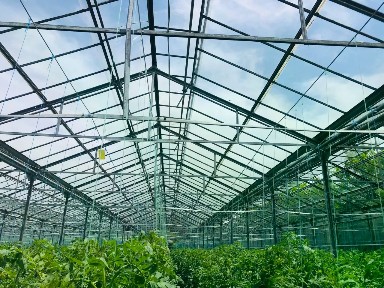 Продается готовый бизнес ⋅ малое производство, 2 000 м²