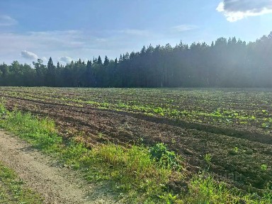 Продается участок, 1 300 сот.
