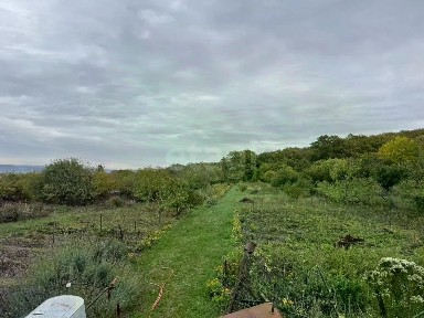 Краснодарский край, Анапа муниципальный округ, Бужор село, ул. Лесная
