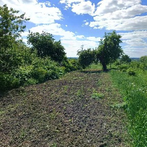 Продается 1-этажный дом, 56 м²