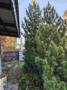 Продается 1-этажный дом, 28 м²