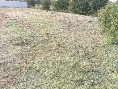 Продается участок, 10 сот.