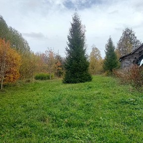 Продается 1-этажный дом, 49 м²