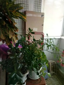 Продается 2-комн. квартира, 42,5 м²