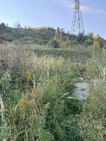 Продается участок, 15 сот.