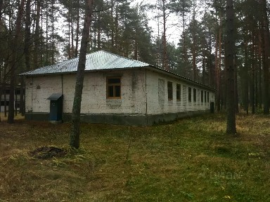 Нижегородская область, Вадский муниципальный округ, Костино деревня, 154