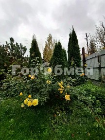 Москва, НАО (Новомосковский), Марушкинское поселение, Марушкино деревня, Фронтовики ЮАО СНТ, 155