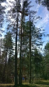 Сдается помещение свободного назначения, 6,41 м²
