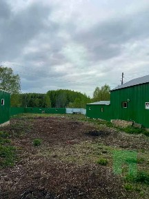 Марий Эл респ., Медведевский район, Азановское с/пос, Петриково деревня