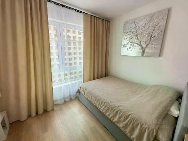 Сдается студия, 19,6 м²