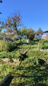 Продается 1-этажный дом, 35 м²