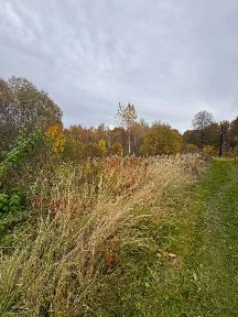 Продается 1/2 часть 1-этажного дома, 35 м²