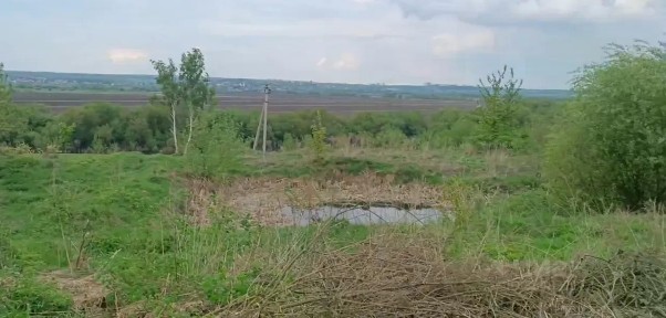Тульская область, Тула городской округ, Маслово село, ул. Родниковая