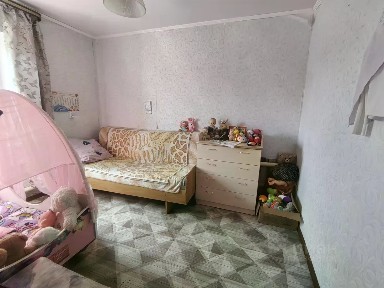 Саратовская область, Федоровский район, Семеновское муниципальное образование, Борисоглебовка село, ул. Новая