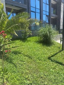 Продается квартира свободной планировки, 30 м²