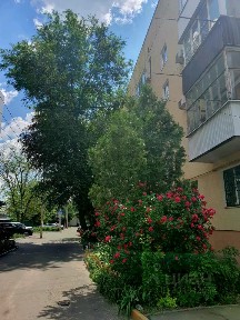Продается 2-комн. квартира, 47,3 м²