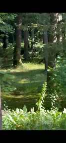 Московская область, Наро-Фоминский городской округ, Новоглаголево деревня, ул. Гранитная