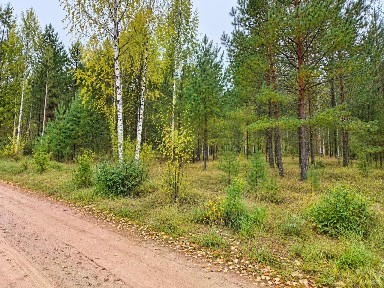 Продается участок, 12 сот.