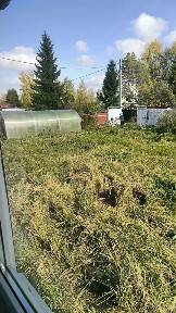 Московская область, Талдомский городской округ, Океан-1 садовое товарищество
