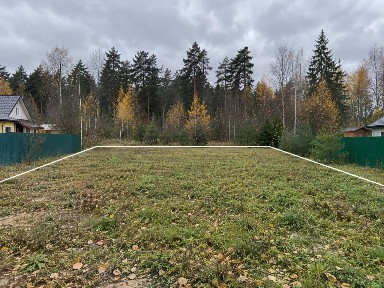 Московская область, Шаховская муниципальный округ, Черленково село