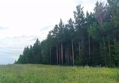 Продается участок, 100,7 сот.