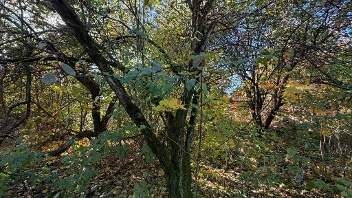 Продается участок, 15,01 сот.