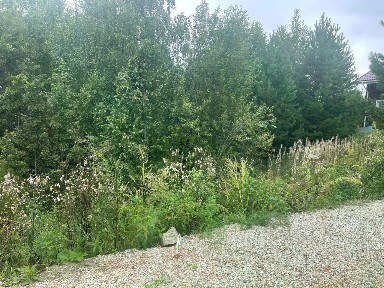 Продается участок, 8 сот.
