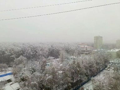 Москва, СВАО, р-н Бибирево, ул. Лескова, 5