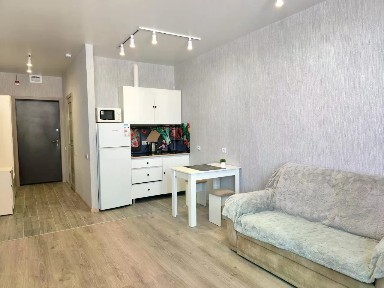 Сдается 1-комн. квартира, 27,2 м²