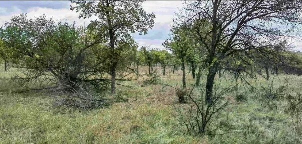 Продается участок, 20 сот.