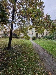 Сдается 2-комн. квартира, 44 м²