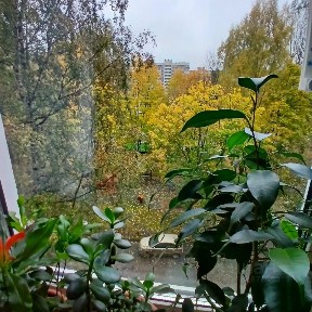Продается 1-комн. квартира, 32,2 м²