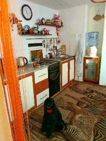 Сдается 3-комн. квартира, 60 м²