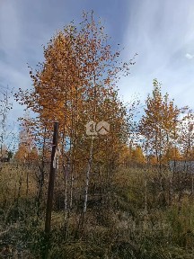 Продается участок, 11 сот.