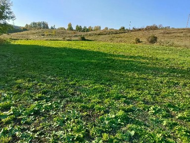 Продается участок, 29 сот.