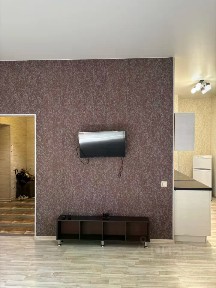 Сдается квартира свободной планировки, 43,5 м²
