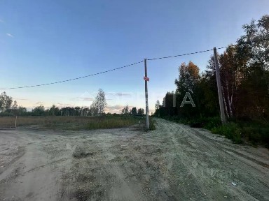 Тюменская область, Нижнетавдинский муниципальный округ, Сочинские СНТ