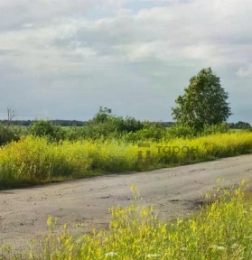Челябинская область, Сосновский муниципальный округ, Большие Харлуши село, Сити Дачи микрорайон, ул. Брусничная